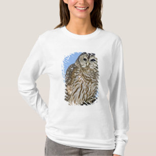 Camiseta EUA, Colorado. Retrato de coruja-listrada empoleir