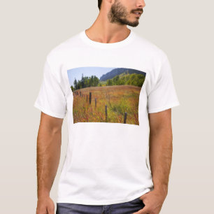 Camiseta EUA, Colorado, San Juan National Forest, ao longo