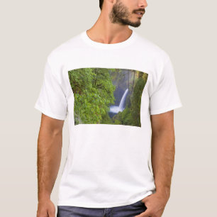 Camiseta EUA, Eagle Creek, Columbia Gorge, Oregon. 2