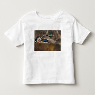Camiseta EUA, Estado de Washington, Mallard, homem, voo.