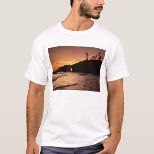 Camiseta EUA, Estado de Washington, Parque Nacional Olímpic