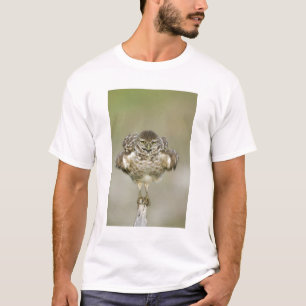 Camiseta EUA, Flórida, Cape Coral, Close-up da toca