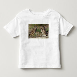 Camiseta EUA, Flórida, Ilha Sanibel. Close-up de