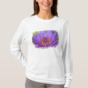 Camiseta EUA, Flórida, Lago Kissimmee. Rã de folha verde