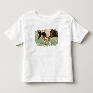 Camiseta EUA, Flórida, Potra Paint recém-nascida
