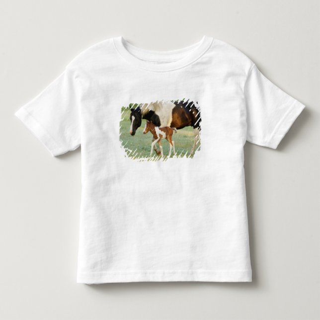 Camiseta EUA, Flórida, Potra Paint recém-nascida (Frente)