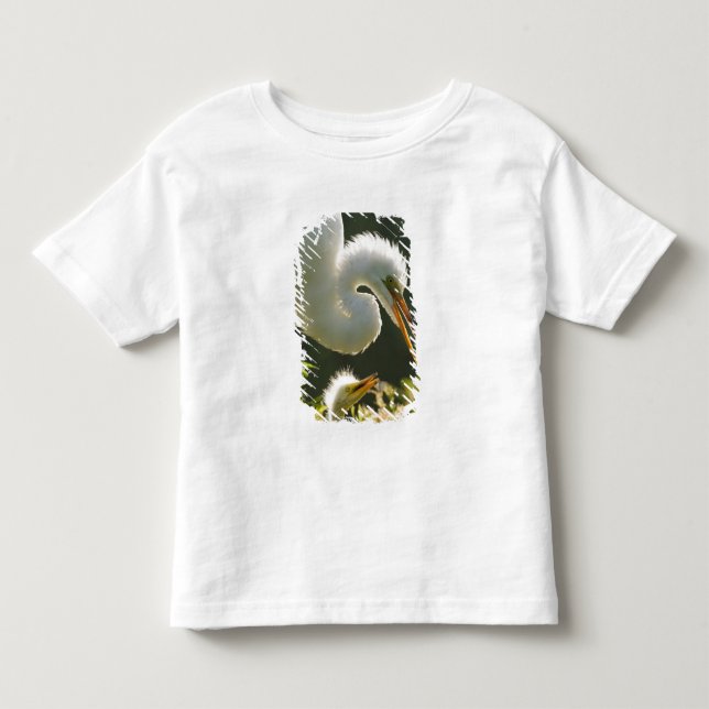 Camiseta EUA, Flórida, St. Augustine, Fazenda de jacarés (Frente)