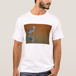 Camiseta EUA, Flórida, St. Petersburg, Fort De Soto 2