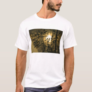 Camiseta EUA, Geórgia, Callaway Gardens, Nascer do Sol