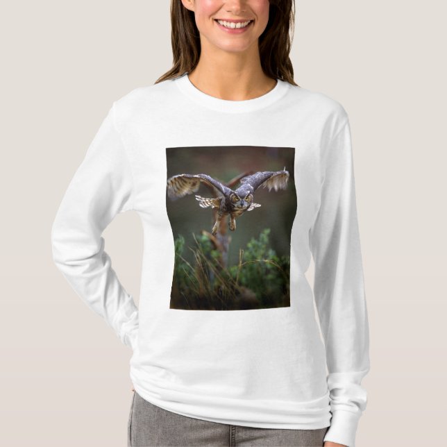 Camiseta EUA, Geórgia, Pine Mountain, Callaway Gardens. (Frente)