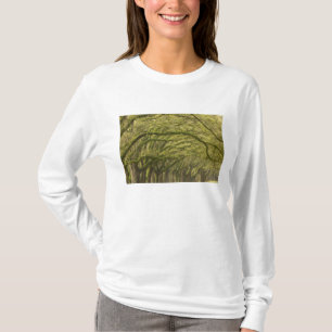Camiseta EUA; Geórgia; Savannah. Árvores de carvalho com