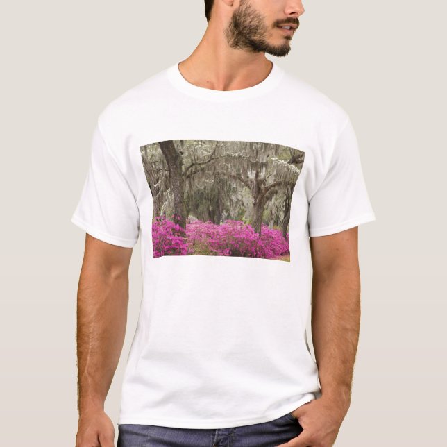 Camiseta EUA, Geórgia, Savannah, Primavera do Histórico (Frente)