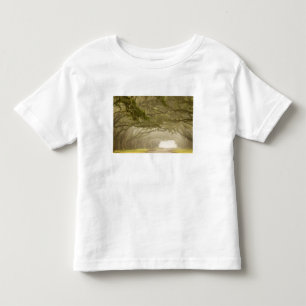 Camiseta EUA, Geórgia, Savannah, Uma estrada ladeada por ca