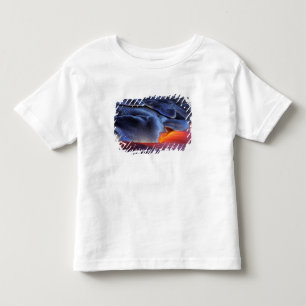 Camiseta EUA, Havaí, Big Island, Kilauea, Parque Nacional d