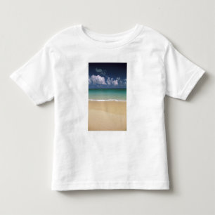 Camiseta EUA, Havaí. Cena de praia