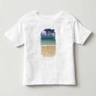 Camiseta EUA, Havaí. Cena de praia