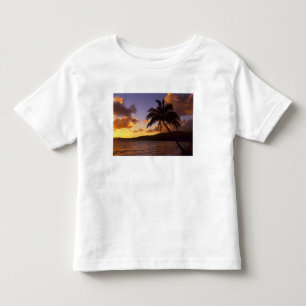 Camiseta EUA, Havaí, Kauai, Colorido nascer do sol em um 2