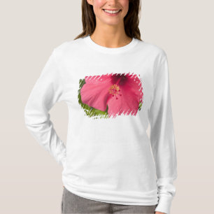 Camiseta EUA, Havaí, Kauai, Hibisco