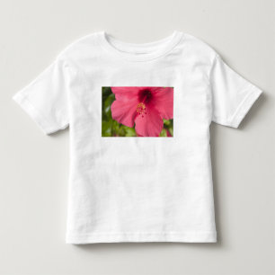 Camiseta EUA, Havaí, Kauai, Hibisco