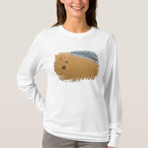Camiseta EUA, Havaí, Kauai, Kapa'a, frente para a praia.