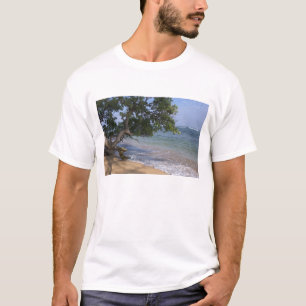 Camiseta EUA, Havaí, Kauai, praia cênica. RF)