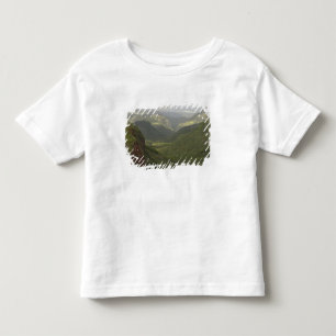 Camiseta EUA, Havaí, Kauai, Vista geral do Canyon. (RF)