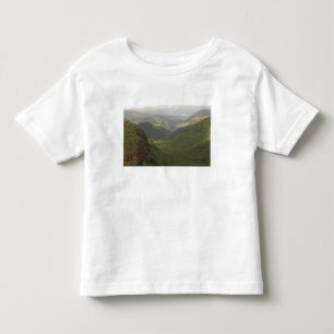 Camiseta EUA, Havaí, Kauai, Vista geral do Canyon. (RF)