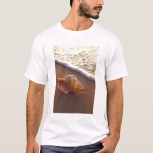 Camiseta EUA, Havaí, Maui, Kihei, Luz da noite em