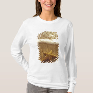 Camiseta EUA, Havaí, Maui, Maui, Kihei, Estrela-do-mar e