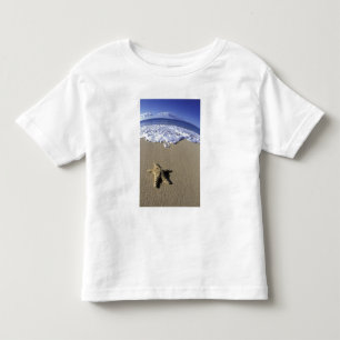 Camiseta EUA, Havaí, Maui, Praia de Makena, Estrela-do-mar 