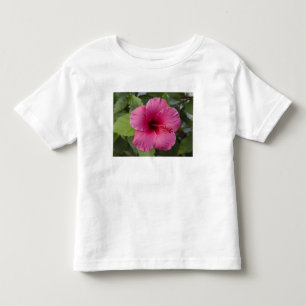 Camiseta EUA, Havaí, Oahu. O Hibisco é o 2