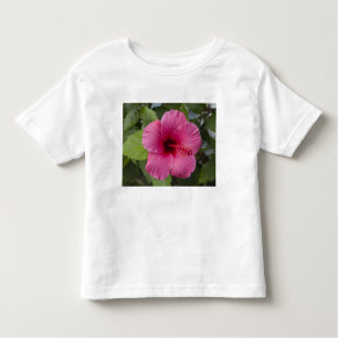 Camiseta EUA, Havaí, Oahu. O Hibiscus é o 2