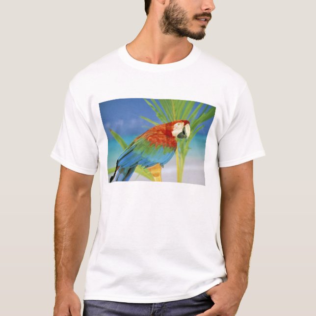 Camiseta EUA, Havaí. Papagaio (Frente)