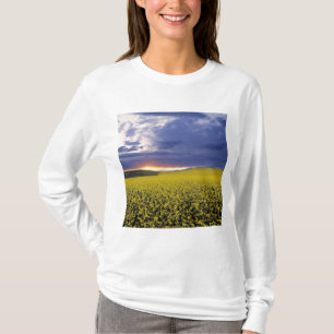 Camiseta EUA, Idaho, Swan Valley. Um pôr do sol ardente irr