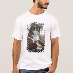 Camiseta EUA, Indiana, Auburn: Auburn, Cord, Duesenberg 9
