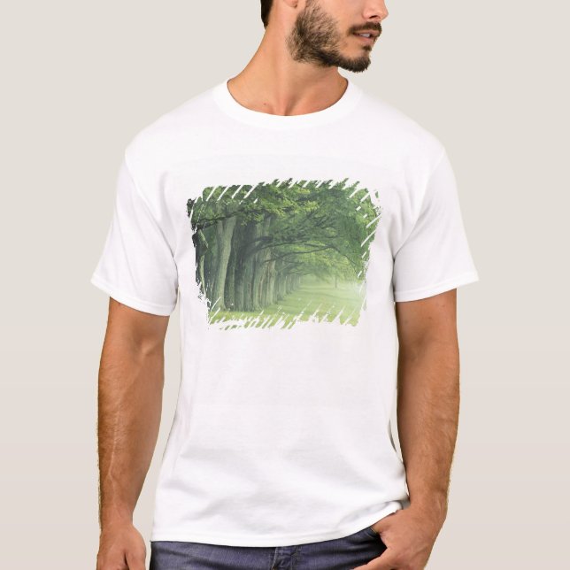 Camiseta EUA, Kentucky. Fileira de árvores na primavera (Frente)