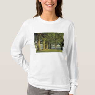 Camiseta EUA, Kentucky, Lexington. Fileira de árvores e