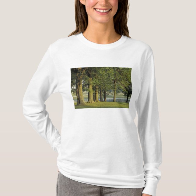 Camiseta EUA, Kentucky, Lexington. Fileira de árvores e (Frente)