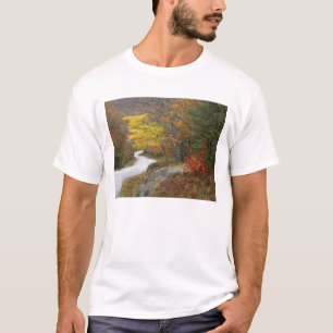 Camiseta EUA, Maine, Camden. Estrada que passa por Camden