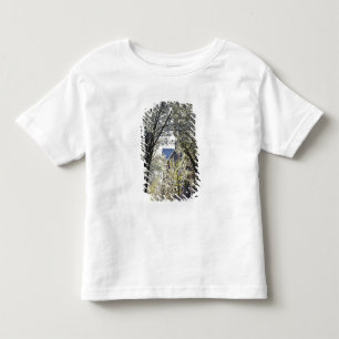 Camiseta EUA, Massachusetts, Boston, Beacon Hill.