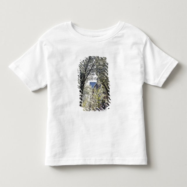Camiseta EUA, Massachusetts, Boston, Beacon Hill. (Frente)