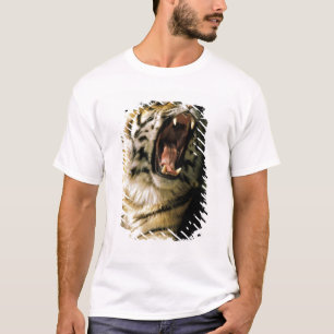 Camiseta EUA, Michigan, Detroit. Zoológico de Detroit, tigr