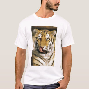 Camiseta EUA, Michigan, Detroit. Zoológico de Detroit, tigr