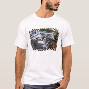Camiseta EUA, Michigan, Península Superior. Bond Falls e