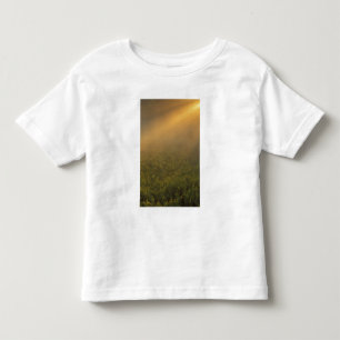 Camiseta EUA, Michigan, Prado de plantas de vara-de-ouro