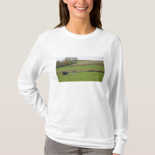 Camiseta EUA, nordeste de Ohio. Bugue Amish em fazenda