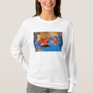 Camiseta EUA, Nordeste, Folha de Bordo em Reflexo