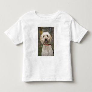 Camiseta EUA, Nova Inglaterra, Massachusetts, Reading,