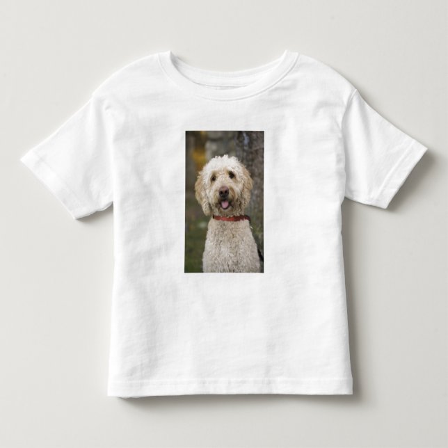 Camiseta EUA, Nova Inglaterra, Massachusetts, Reading, (Frente)