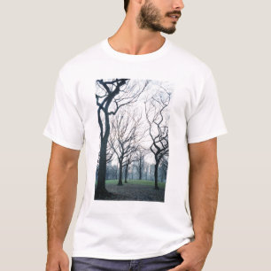 Camiseta EUA, Nova York, Cidade de Nova York: Central Park